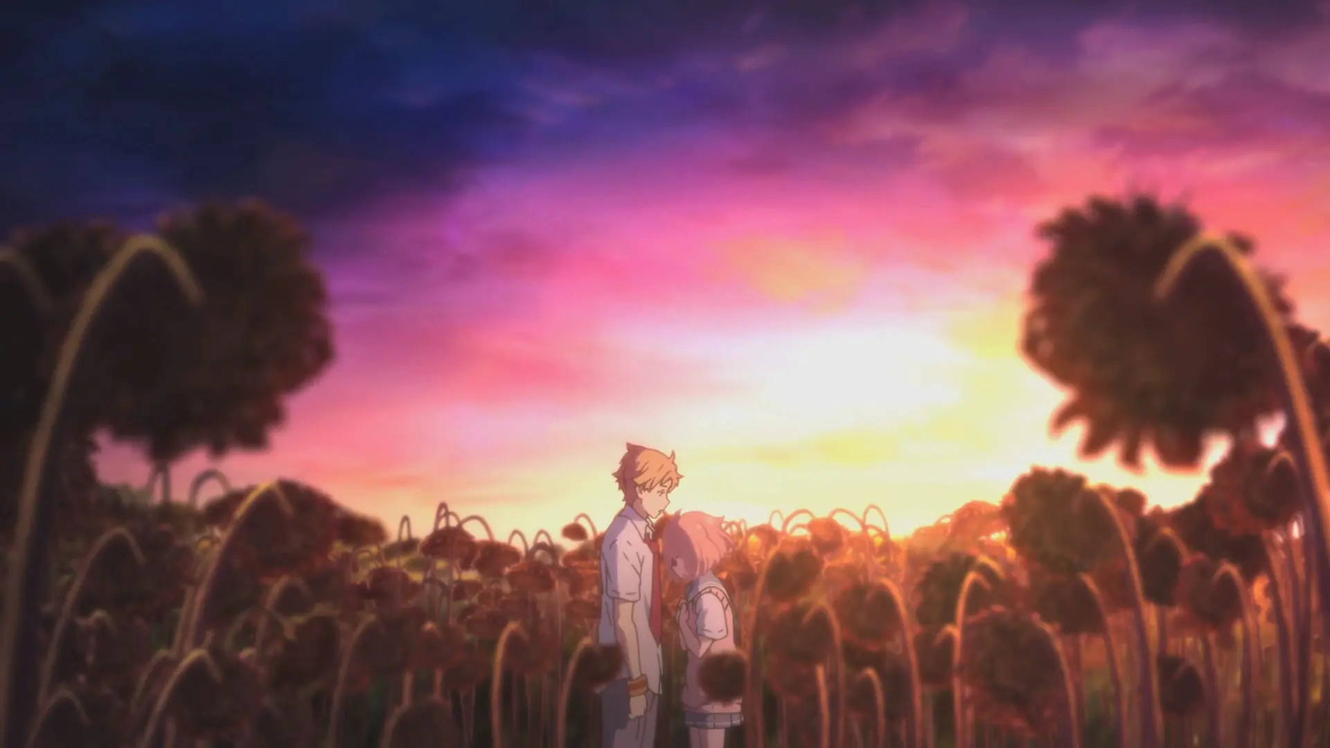 Desktop banner image 9